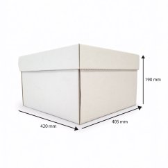 Dárkový box na 25 lahví vína s proložkou (25 x 0,2 l) bez lahví, bílý