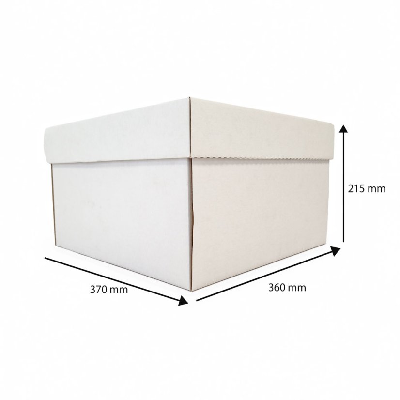 Dárkový box na 25 lahví vína s proložkou (25 x 0,25 l) bez lahví, bílý